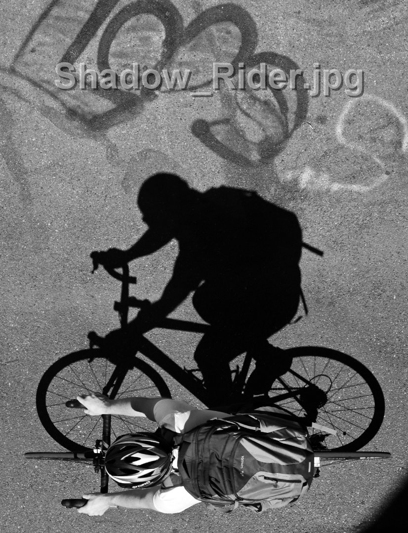 Shadow_Rider.jpg