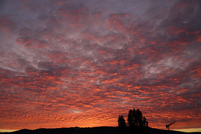Abendstimmung